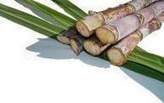 Jus de canne a sucre